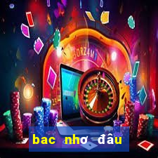 bac nhơ đâu đuôi câm