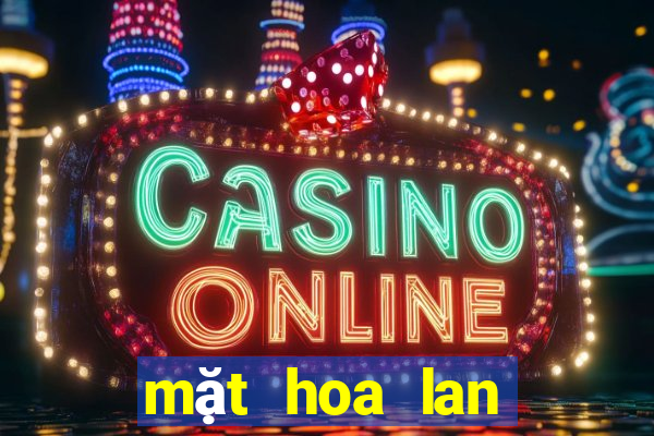 mặt hoa lan bệt ma bó