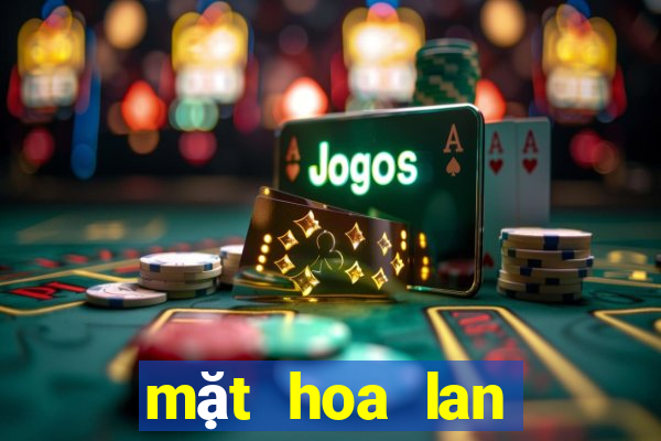 mặt hoa lan bệt ma bó