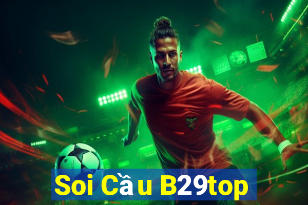 Soi Cầu B29top