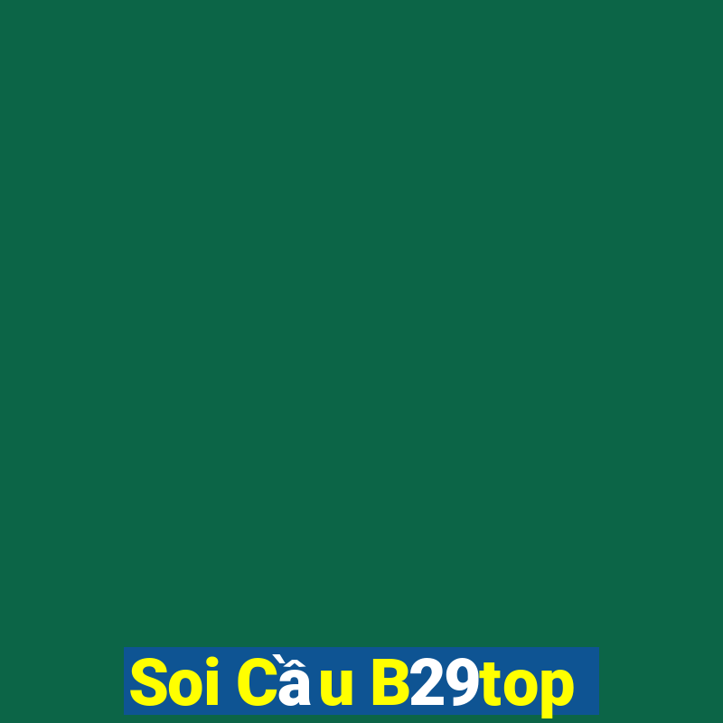 Soi Cầu B29top