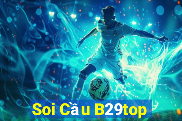 Soi Cầu B29top