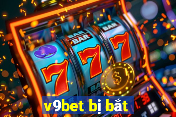 v9bet bị bắt