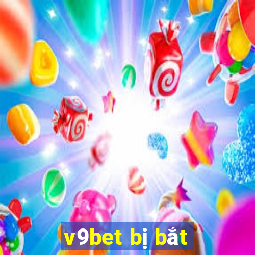 v9bet bị bắt