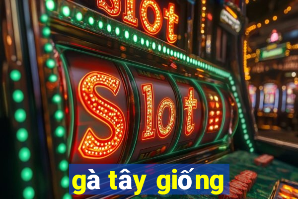 gà tây giống