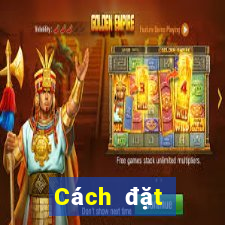 Cách đặt cược XSND ngày 12