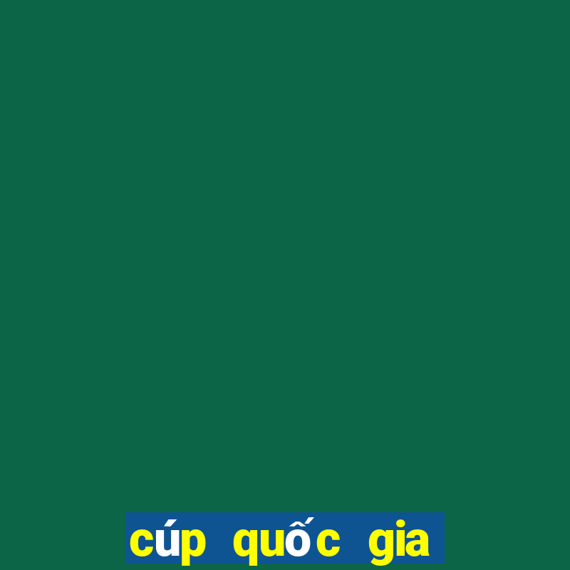 cúp quốc gia tỷ số