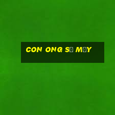 con ong số mấy