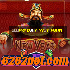 Đường dây việt nam