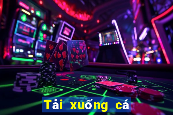 Tải xuống cá cược bóng rổ