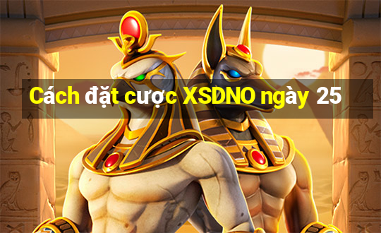 Cách đặt cược XSDNO ngày 25