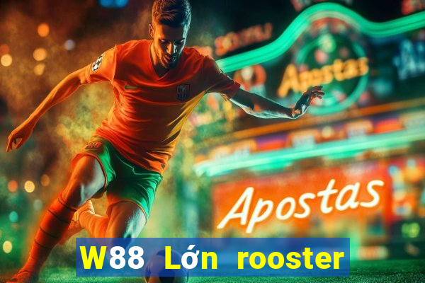 W88 Lớn rooster sắp xếp