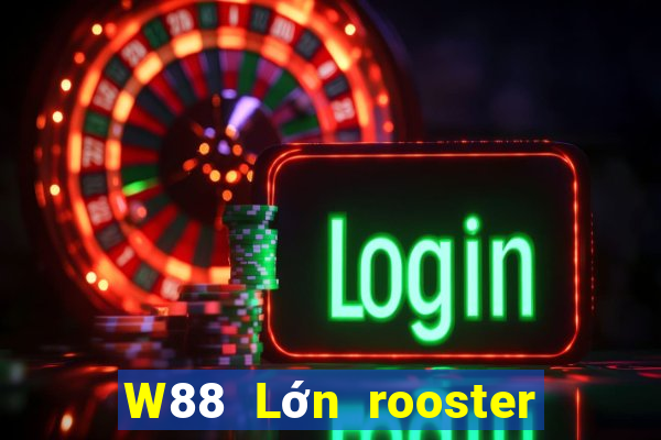 W88 Lớn rooster sắp xếp