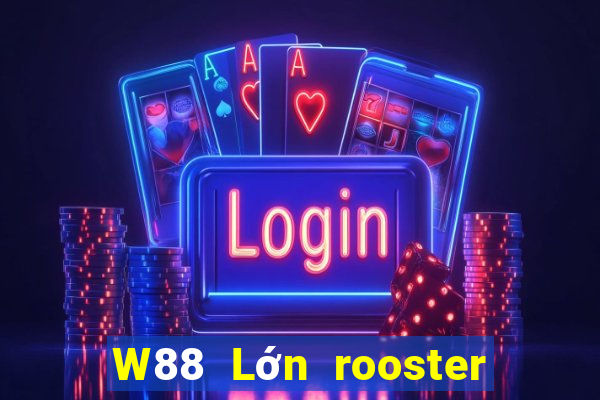 W88 Lớn rooster sắp xếp