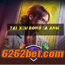 tài xỉu bóng đá anh