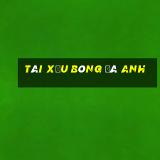 tài xỉu bóng đá anh