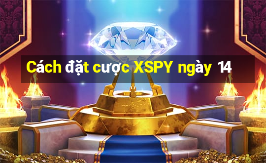 Cách đặt cược XSPY ngày 14