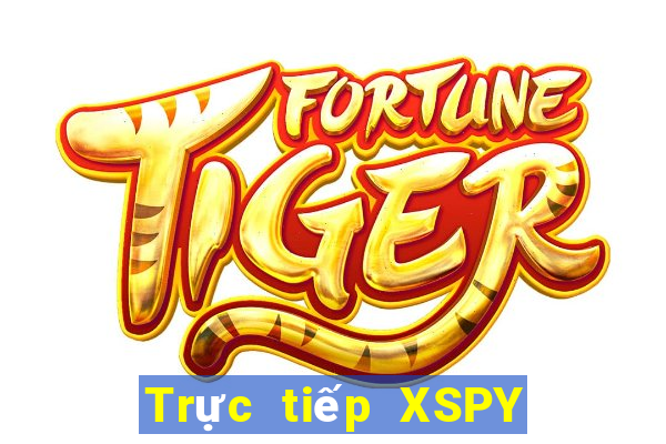 Trực tiếp XSPY ngày 25