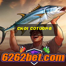 choi cotuong