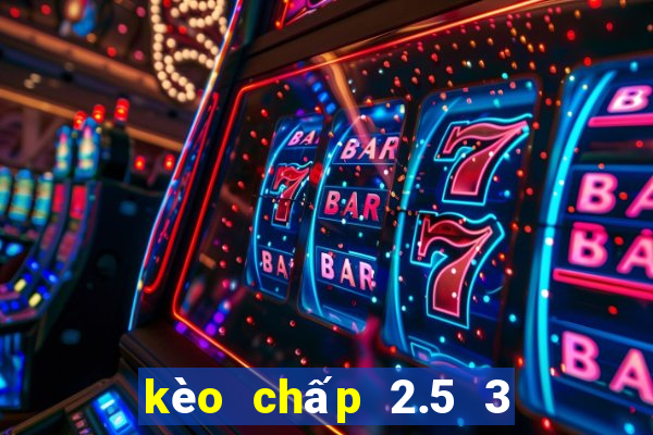 kèo chấp 2.5 3 là gì