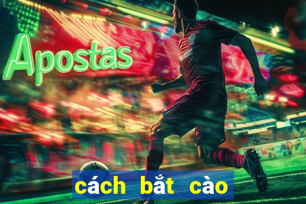 cách bắt cào cào dễ nhất