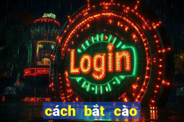 cách bắt cào cào dễ nhất