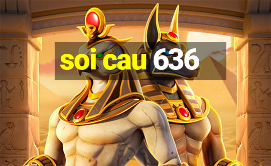 soi cau 636