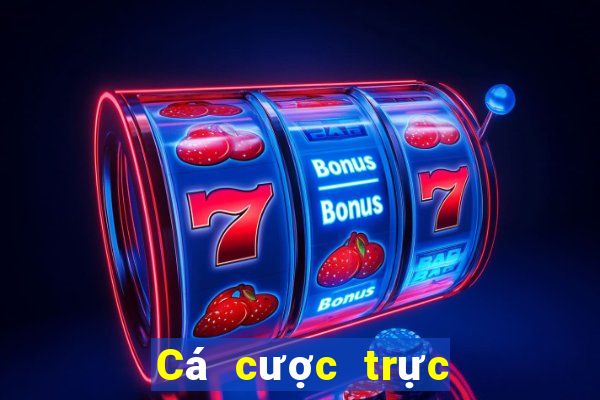 Cá cược trực tuyến 11bet