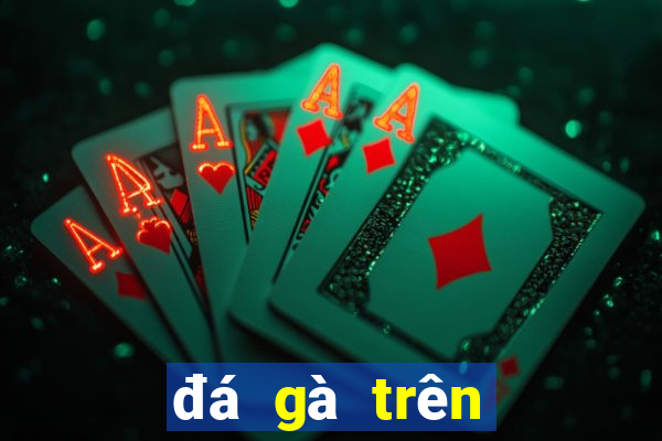 đá gà trên casino trực tiếp