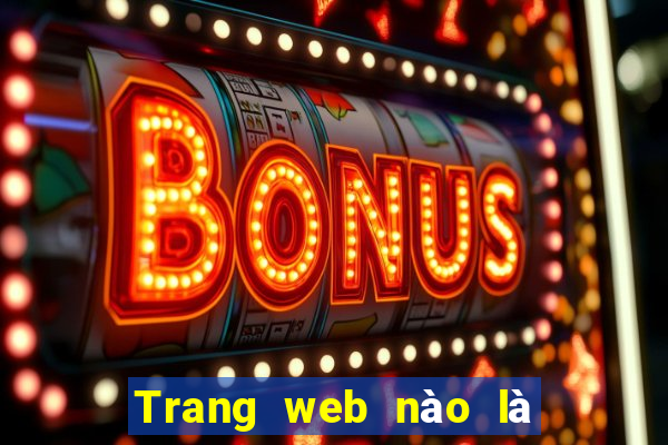 Trang web nào là nền tảng bbin