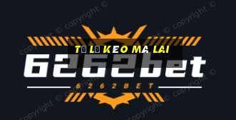 tỷ lệ kèo mã lai