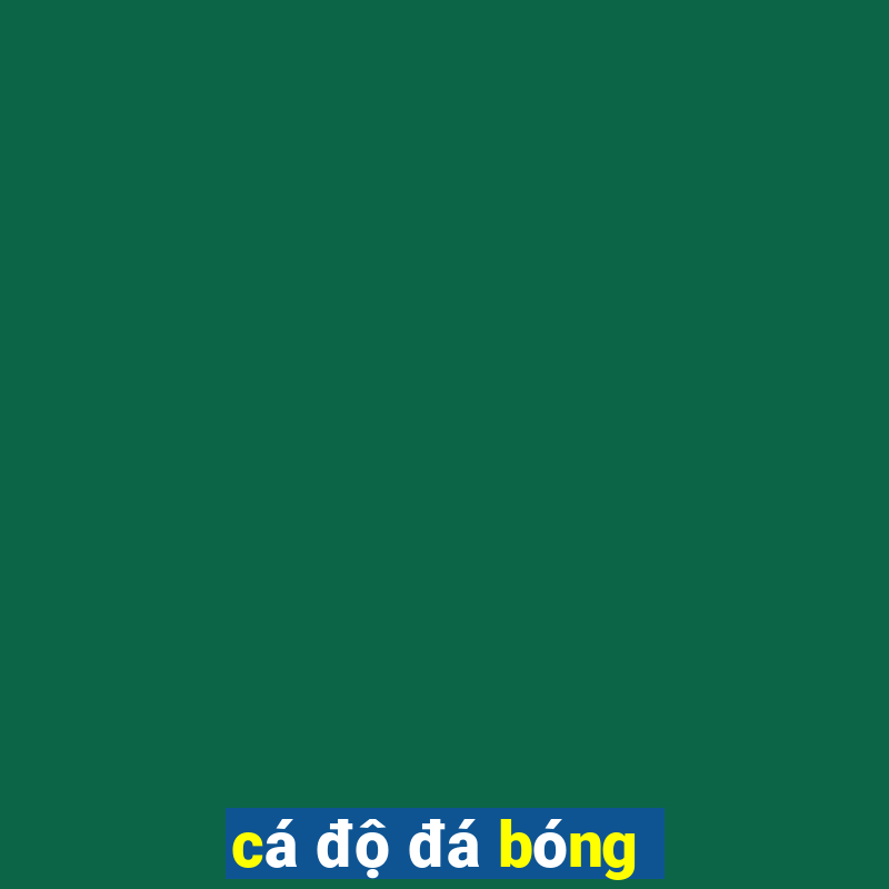 cá độ đá bóng