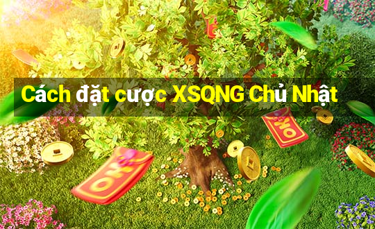 Cách đặt cược XSQNG Chủ Nhật