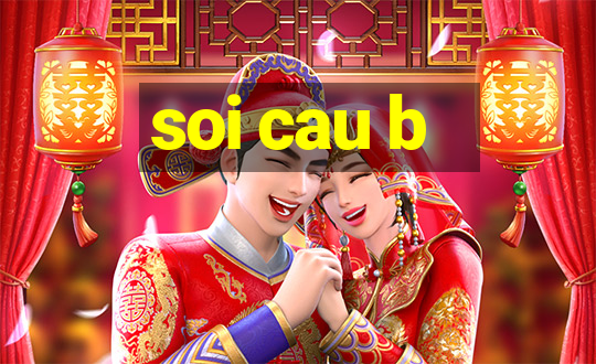 soi cau b