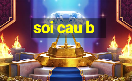 soi cau b