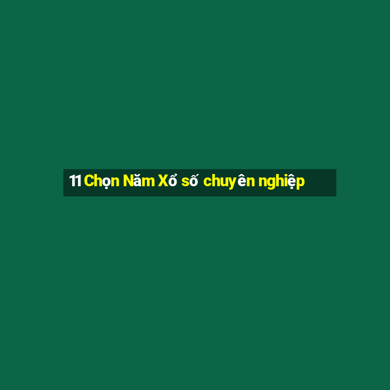 11 Chọn Năm Xổ số chuyên nghiệp