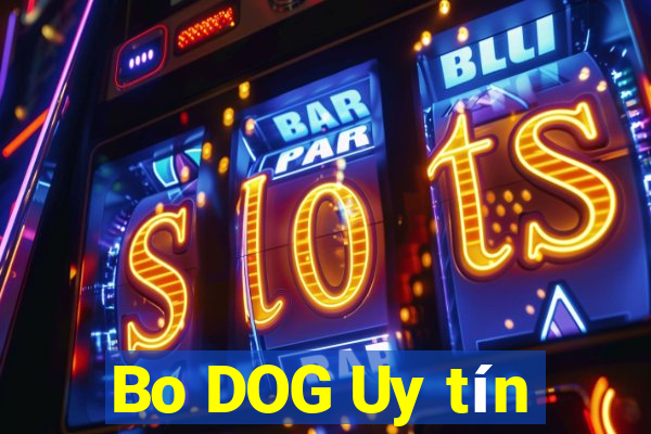 Bo DOG Uy tín