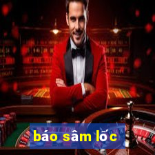 báo sâm lốc