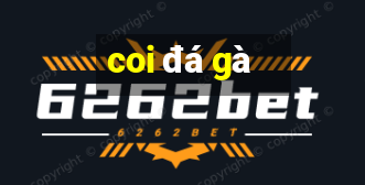 coi đá gà