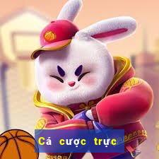 Cá cược trực tuyến trust77