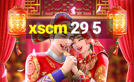 xscm 29 5