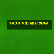 thuật ngữ Mậu Binh