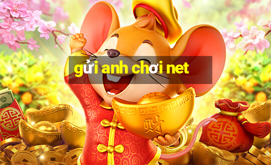 gửi anh chơi net