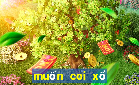 muốn coi xổ số miền bắc