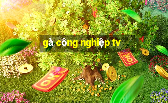 gà công nghiệp tv