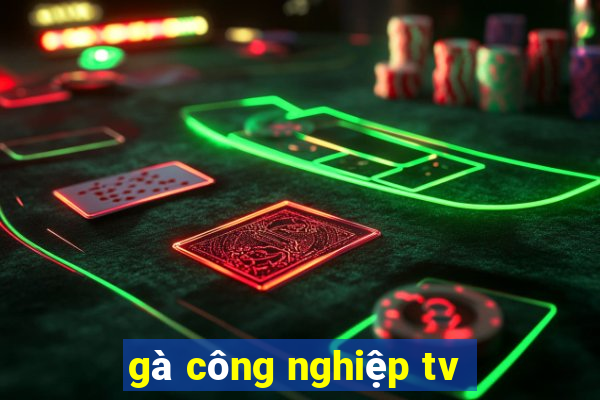 gà công nghiệp tv