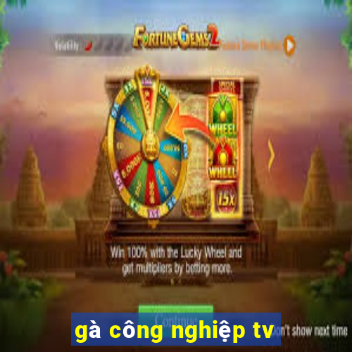 gà công nghiệp tv