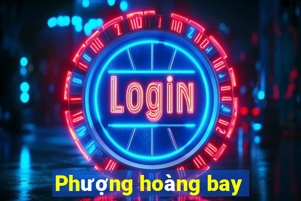 Phượng hoàng bay