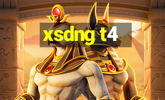 xsdng t4