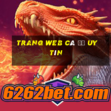 trang web cá độ uy tín